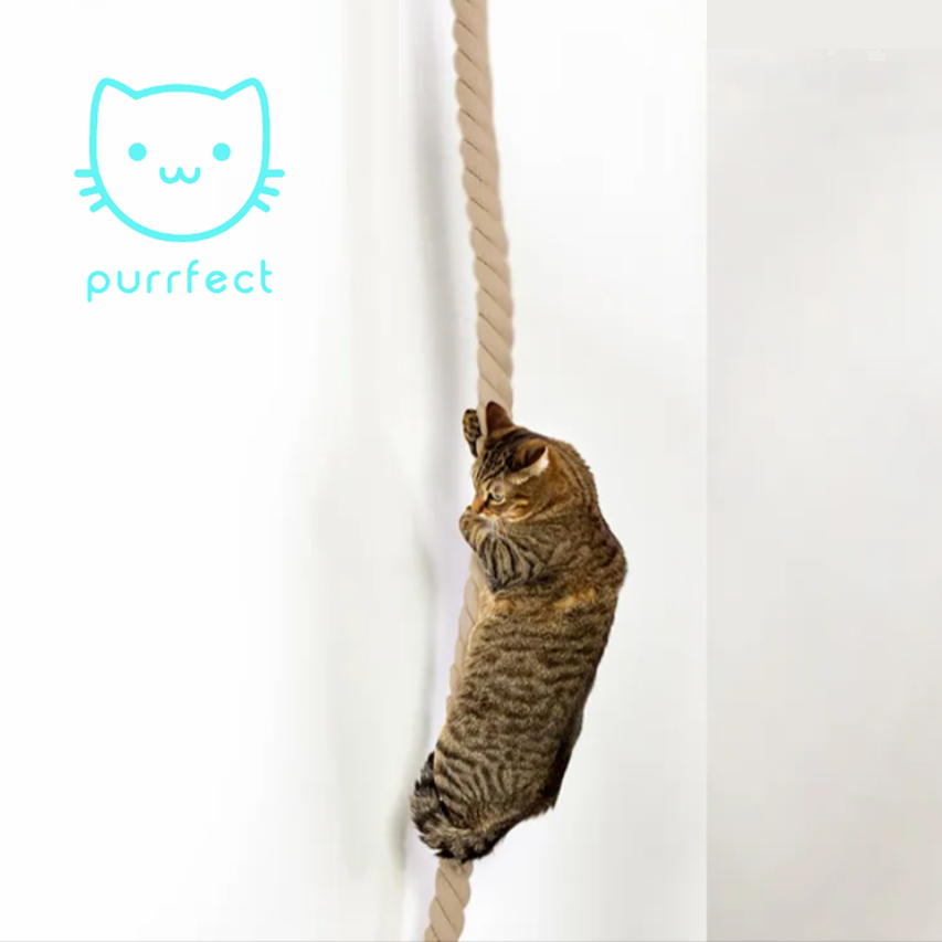 Cuerda de Escalada con Ventosas