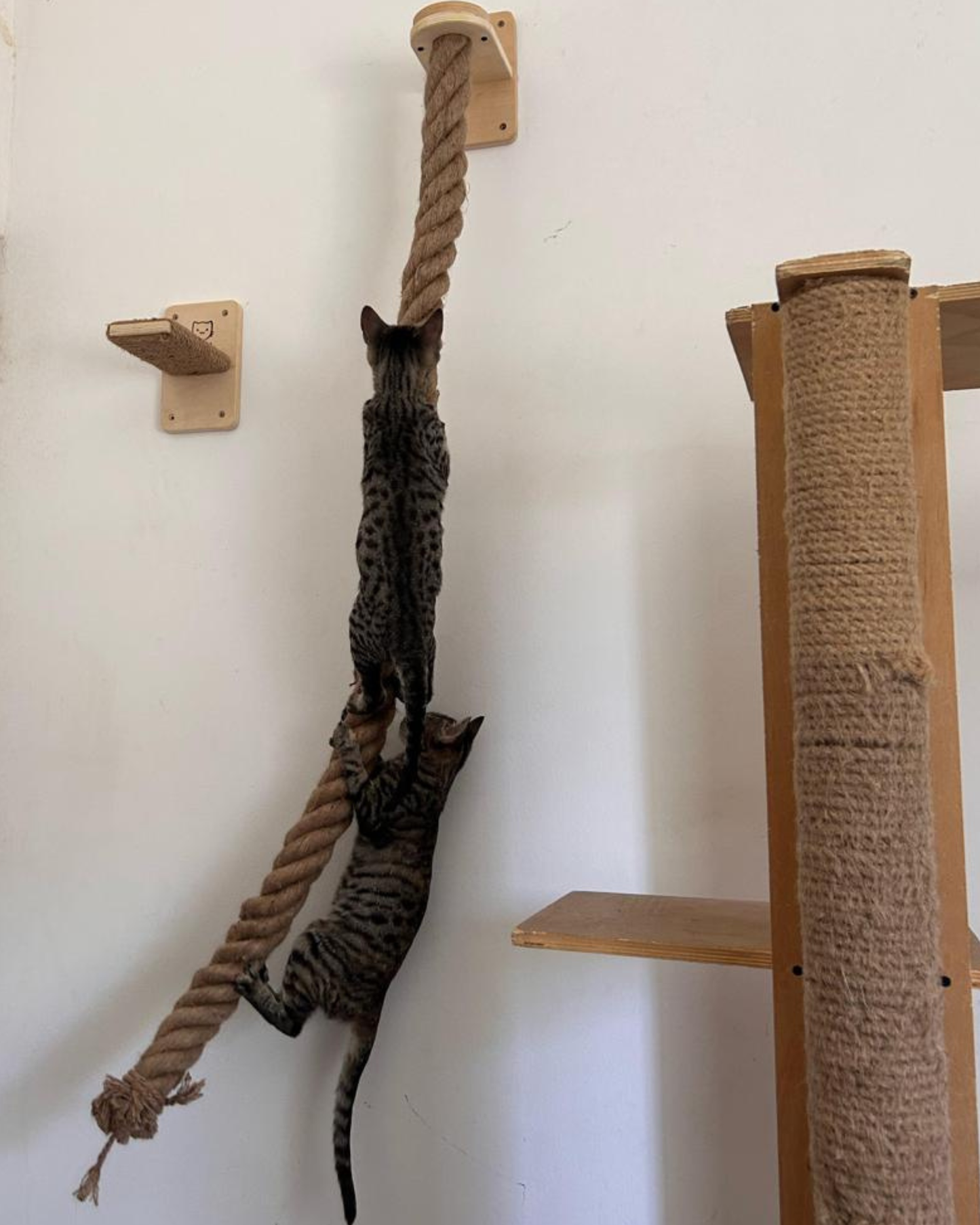 Cuerda de Escalada para Muro