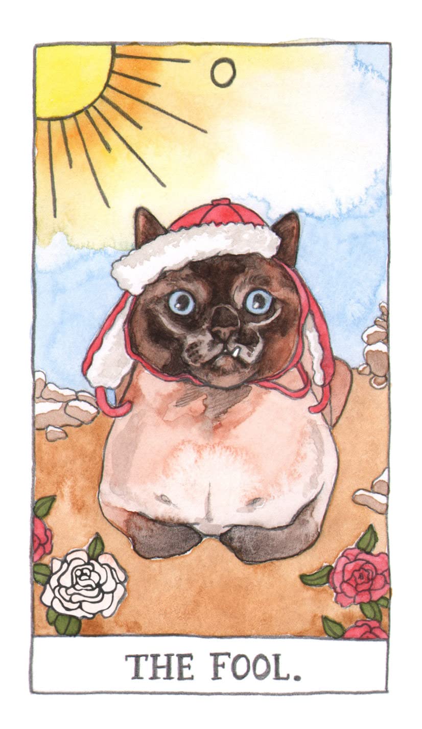 Pack Cat Tarot + Curso Michitarot by Purrfect