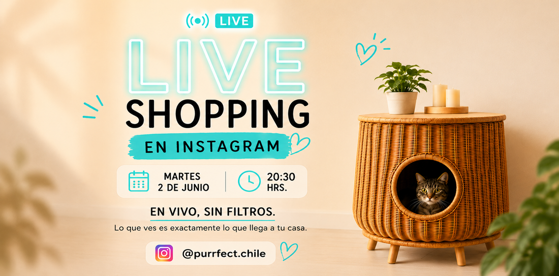 Live Shopping Cyber: pregunta antes de comprar