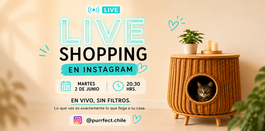 Live Shopping Cyber: pregunta antes de comprar