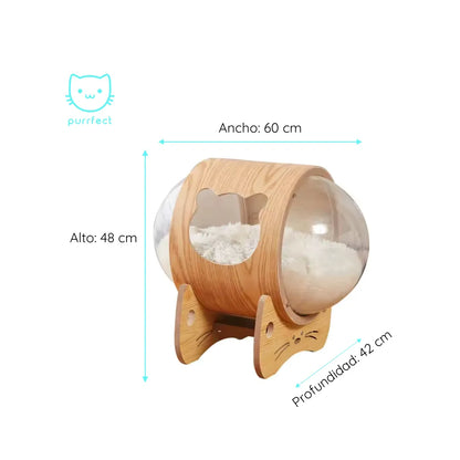 Cama Cápsula