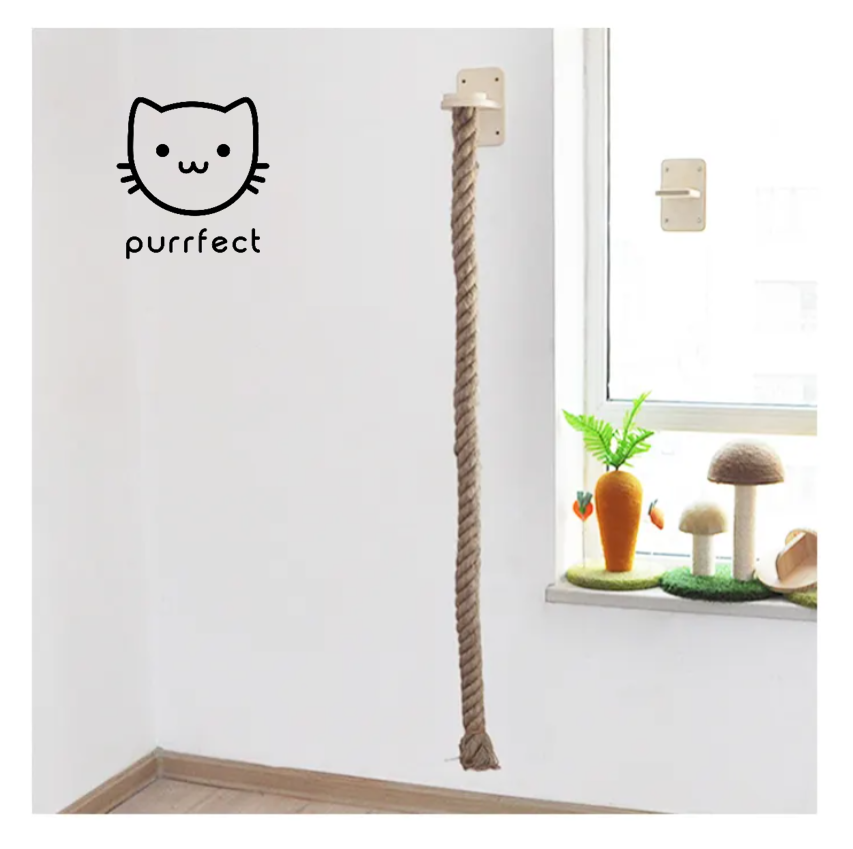 Cuerda de Escalada para Muro