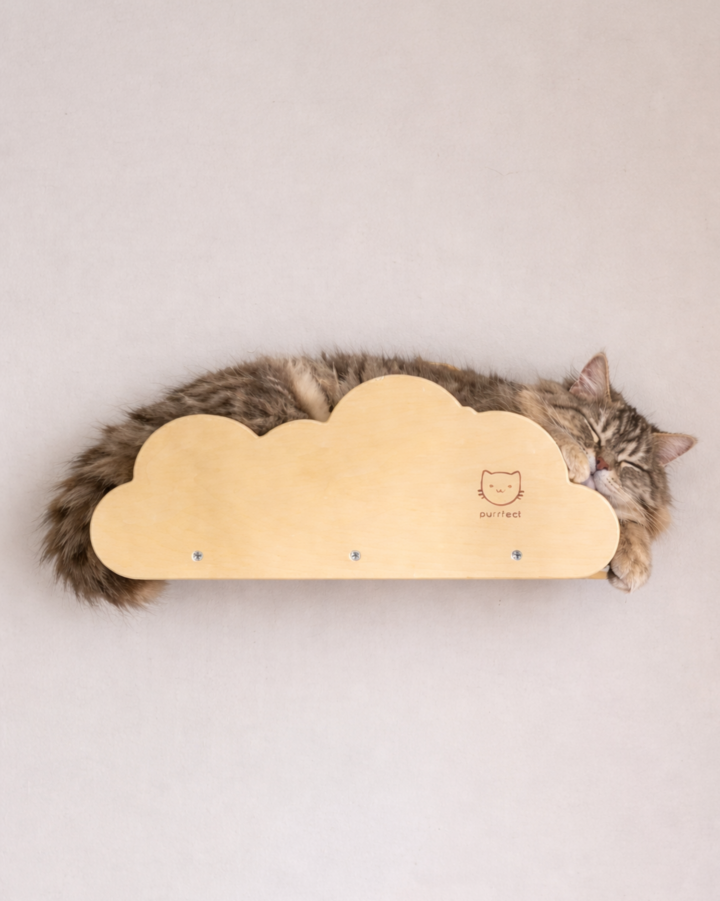 Kit Sky