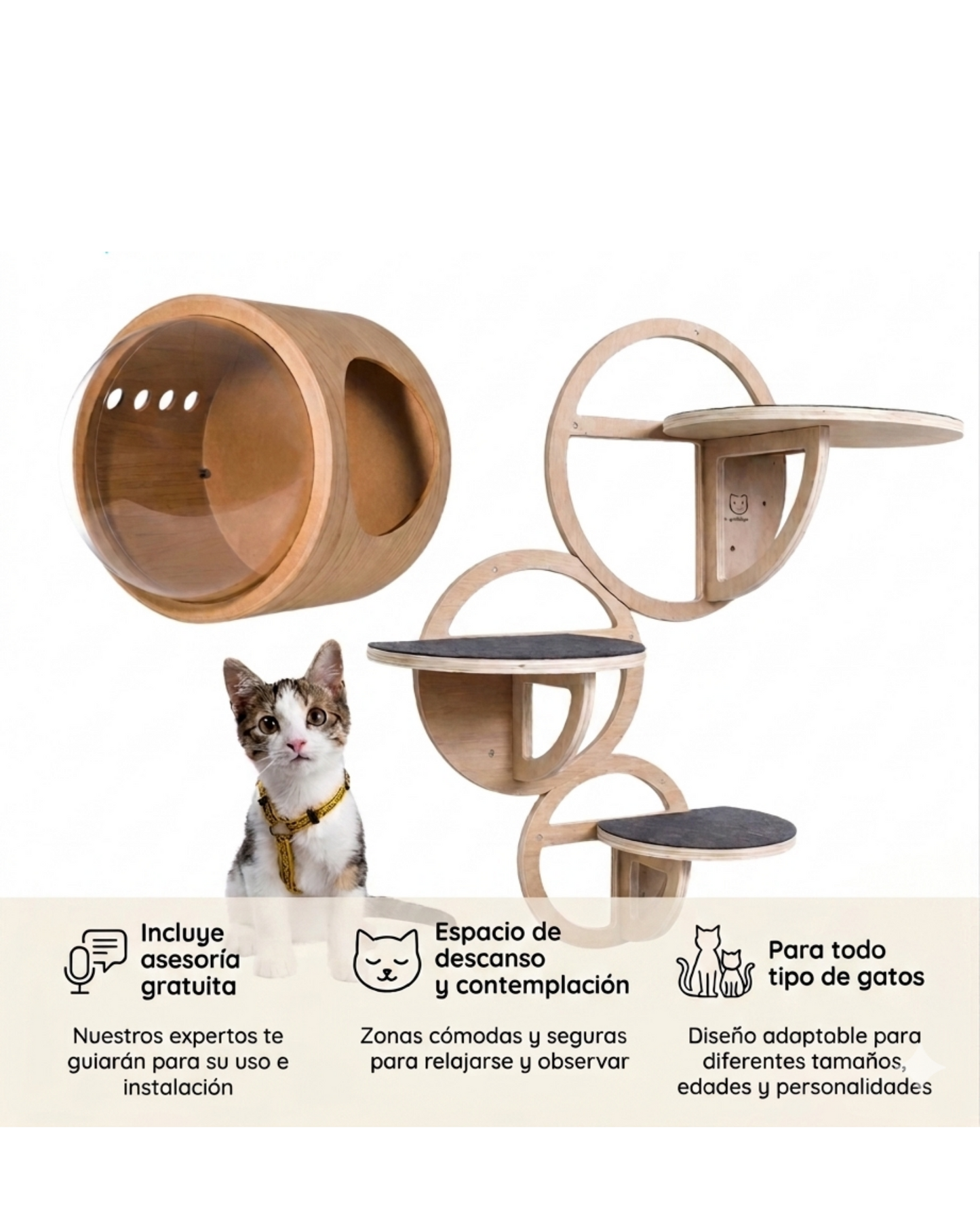 Kit Estilo