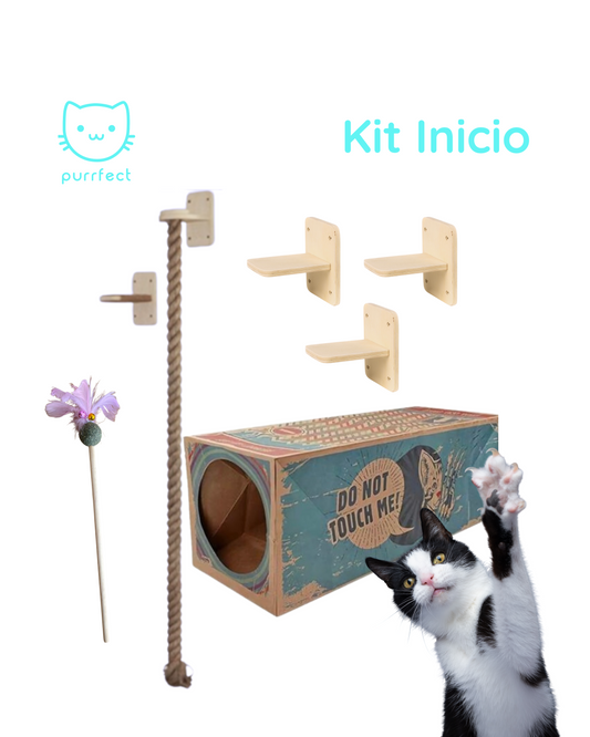 Kit Inicio