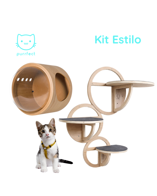 Kit Estilo