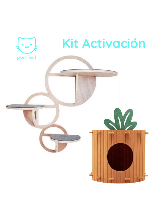 Kit Activación