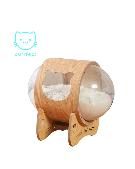 Cama Cápsula