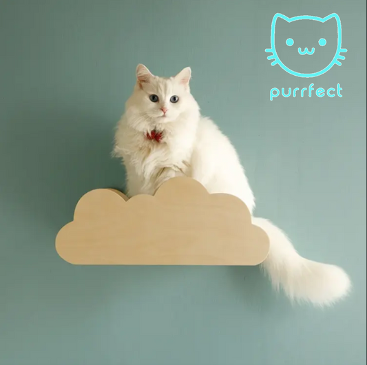 Repisa Nube